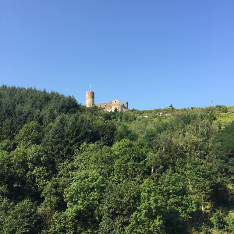 Haus Am Hang Apartment Bernkastel-Kues